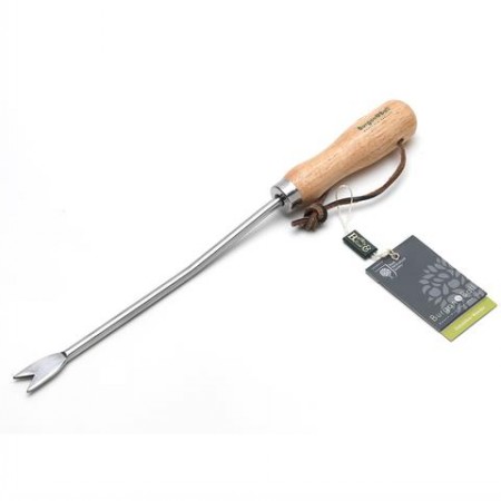 RHS stainless dandelion weeder